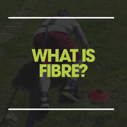 what is fibre